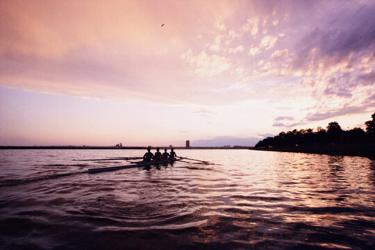 Female Rowers at Sunset, Toronto, Ontario, Canada