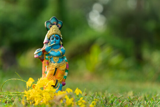 Lord Krishna image, Beautiful Krishna sculpture with Kanikonna, Vishu background
