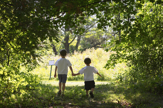 Two Brothers Walking Hand in Hand