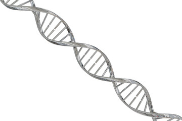Shiny DNA double helix