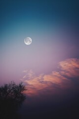 the moon shines over the treetops in a pink sky