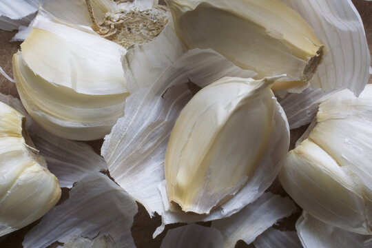 Close-up of Garlic