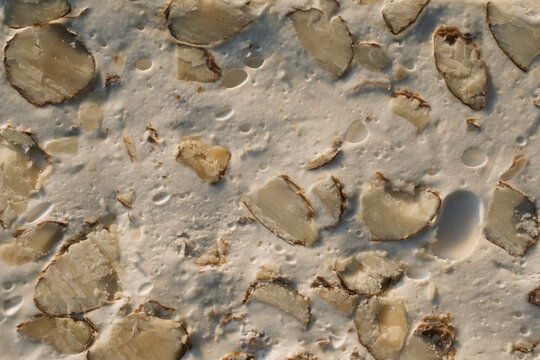 Cross Section of Torrone