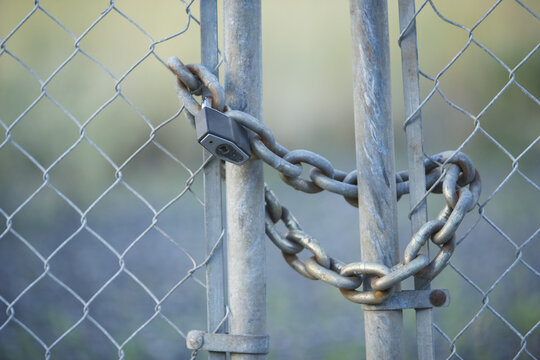Chain and Lock on Fence