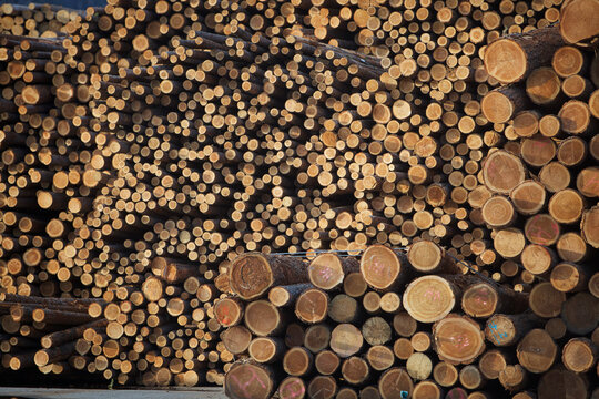 Logs, Merritt, Nicola Country, British Columbia, Canada