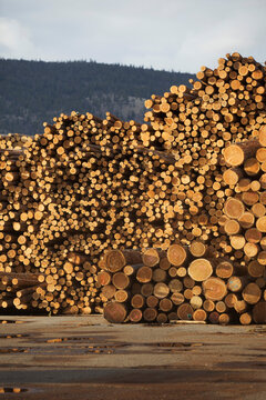 Logs, Merritt, Nicola Country, British Columbia, Canada