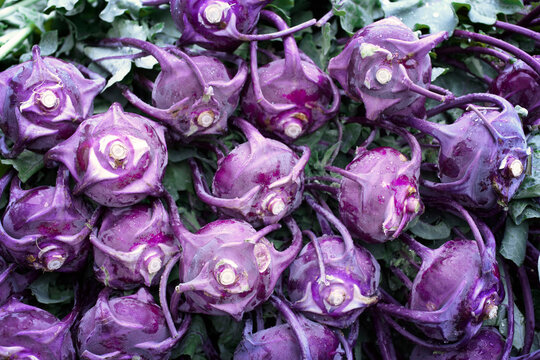 Close-up of Purple Kohlrabi at Farmers Market