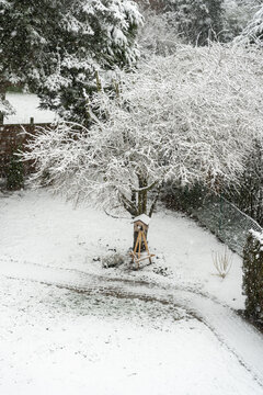 Baum im Garten mit Vogelhaus im Schnee