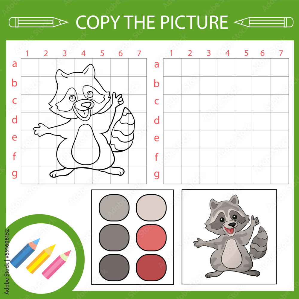 Wall mural kids activity page and draw worksheet. copy the picture of cute raccoon. vector education game. chil