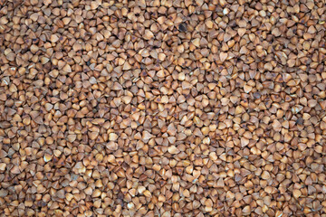 buckwheat