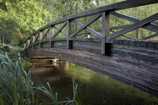 Wooden Bridge in Jericho Park, Vancouver, British Columbia, Canada