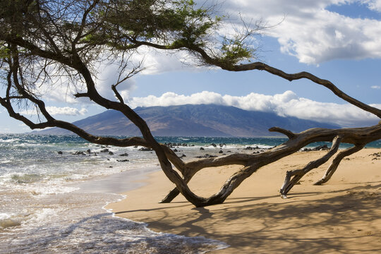 Overview of Beach, Maui, Hawaii, USA
