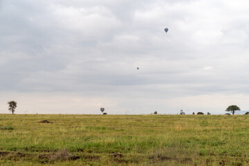 Hot air balloons rising above the Serengeti in Tanzania on a cloudy morning