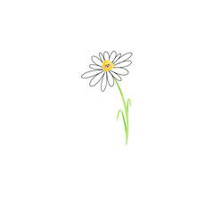 white daisy with a smile on a transparant background. hand drawn illustrated daisy flower with happy smiling face