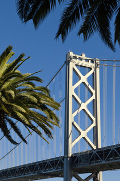 Bay Bridge with Palm Trees, Embarcadero, San Francisco, California, USA