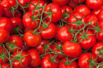 Close-up of Tomatoes at Market