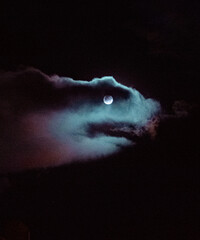 Obraz na płótnie Canvas moon whale