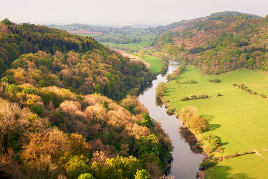 Symonds Yat, Forest of Dean, River Wye, Gloucestershire, South West England, England