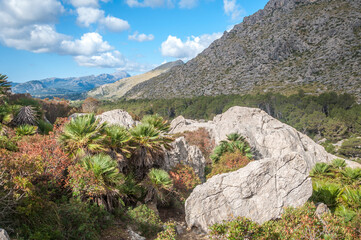 Crique de Cala Boquer sur l'ïle de Majorque