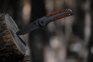 Folding knife for survival is stuck into trunk sawn off tree against background pine forest. - obrazy, fototapety, plakaty