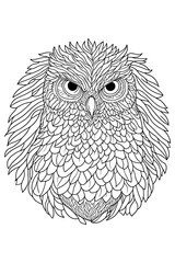 Hand drawn sketch illustration of owl. Coloring page for kids and adults. 
