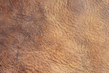 brown background with leather texture