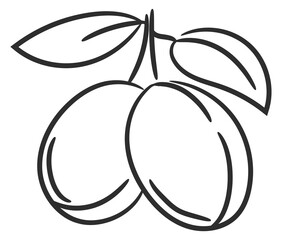 Plum line icon. Garden fresh juicy fruit