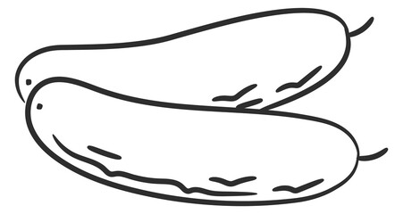 Cucumber doodle icon. Fresh tasty vegetable food