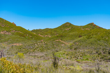 Beautiful and green hiking views in Zuma Canyon in Malibu, California, seeing lush green plants, wildflowers, and Zuma Canyon Falls in the Santa Monica Mountains.