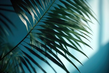 Blurred shadow from palm leaves on the light blue wall. AI generated