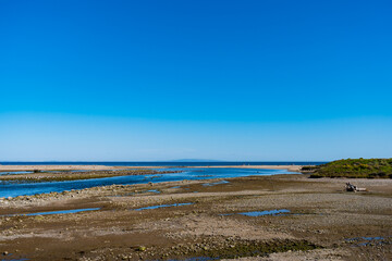 Beautiful and green hiking views in Zuma Canyon in Malibu, California, seeing lush green plants, wildflowers, and Zuma Canyon Falls in the Santa Monica Mountains.
