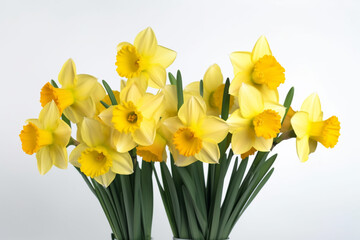 A bunch of yellow daffodils with the word daffodils on them.