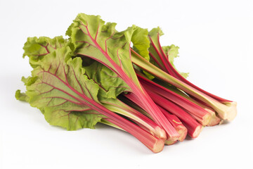 A bunch of rhubarb on a white background