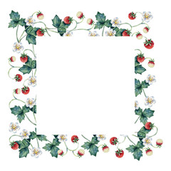 Wild strawberry bush with flowers and berries isolated on transparent background trendy botanical watercolor frame

