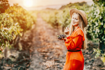 Portrait of a happy woman in summer vineyards at sunset. a woman in a hat and a red dress holds black grapes in her hands