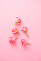 Assorted rose heads. Various soft roses and leaves scattered on pink background, top view