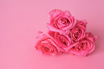 bouquet of pink rose flower on pink background