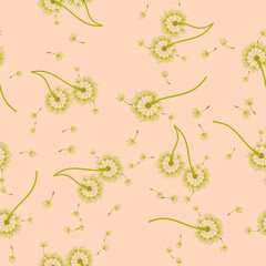 Dandelion background your design. Abstract floral seamless pattern.