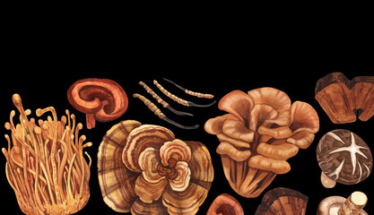 Watercolor medicinal mushroom frame, adaptogenic plant. Hand-drawn illustration isolated on black background. Perfect concept for healthy chinese medicine popular superfood, design packing