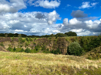 Disused Victorian Stone quarry, with wild grasses, rocks and trees, on a cloudy day in, Allerton, Bradford, UK