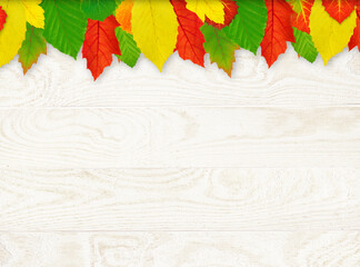 colorful leaves on a light wooden, plank background