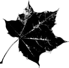 autumn leaf silhouette