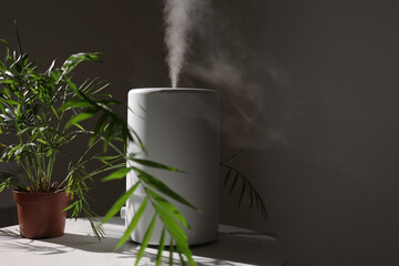 Air purifier and humidifier releases strong stream of cold steam close green houseplant. Care and hydration of houseplants in dry air. Healthy lifestyle concept. Fresh air, cleaning and removing dust - obrazy, fototapety, plakaty