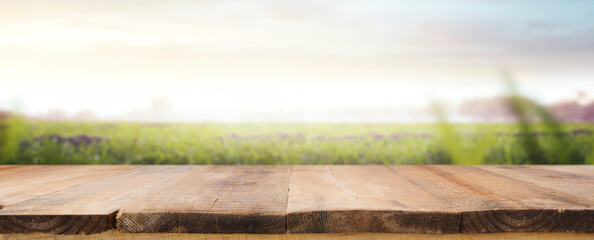 empty wooden table with a spring green background - copy space