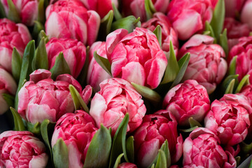 Naklejka premium beautiful bouquet of tulips for event