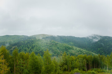 Landscape of mountains, forest against the background of mountains, clouds