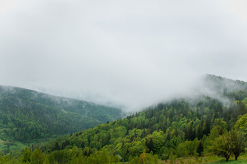 Fototapeta na wymiar Landscape of mountains, forest against the background of mountains, clouds