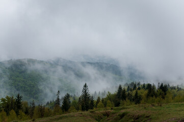 Landscape of mountains, forest against the background of mountains, clouds