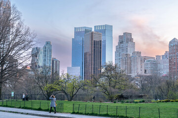 Fototapeta premium Manhattan spring bloom and architecture travel destination backgrounds theme copy space 