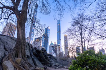 Fototapeta premium Manhattan spring bloom and architecture travel destination backgrounds theme copy space 